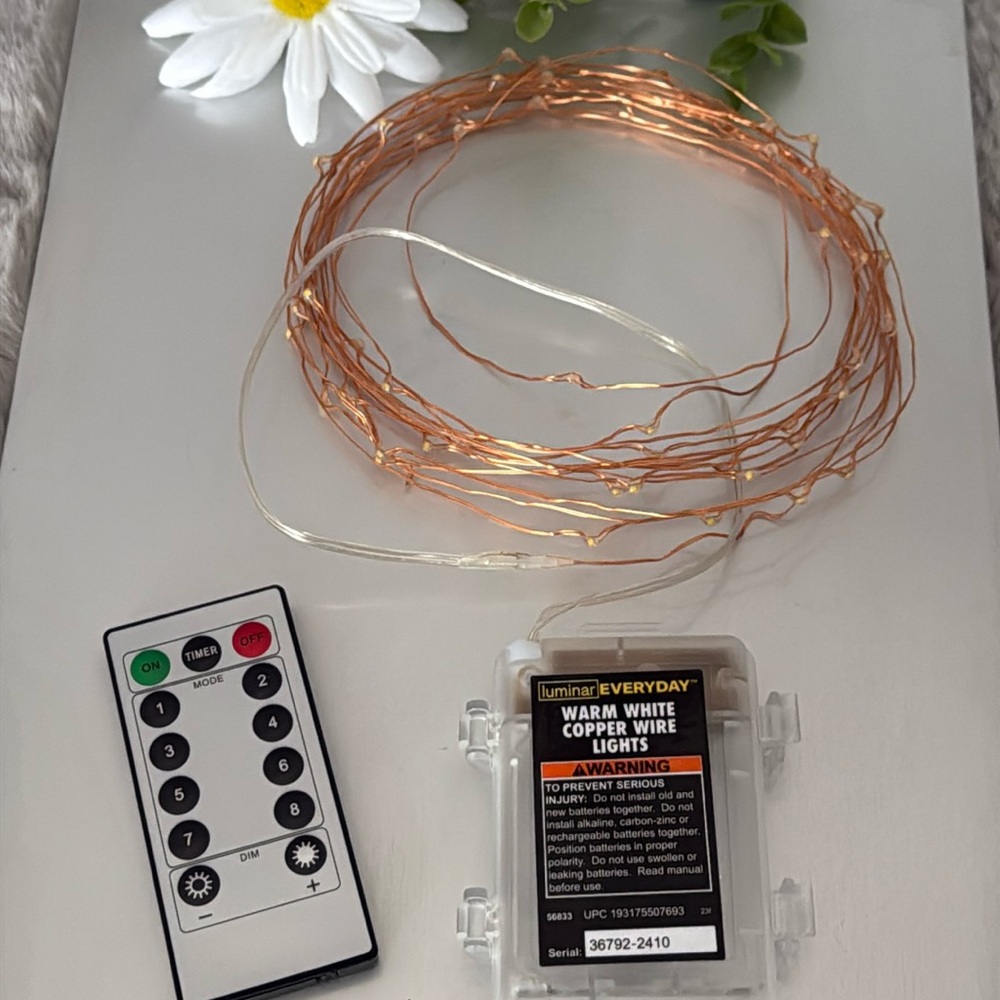 60 Warm White LED Copper Wire Lights with Remote